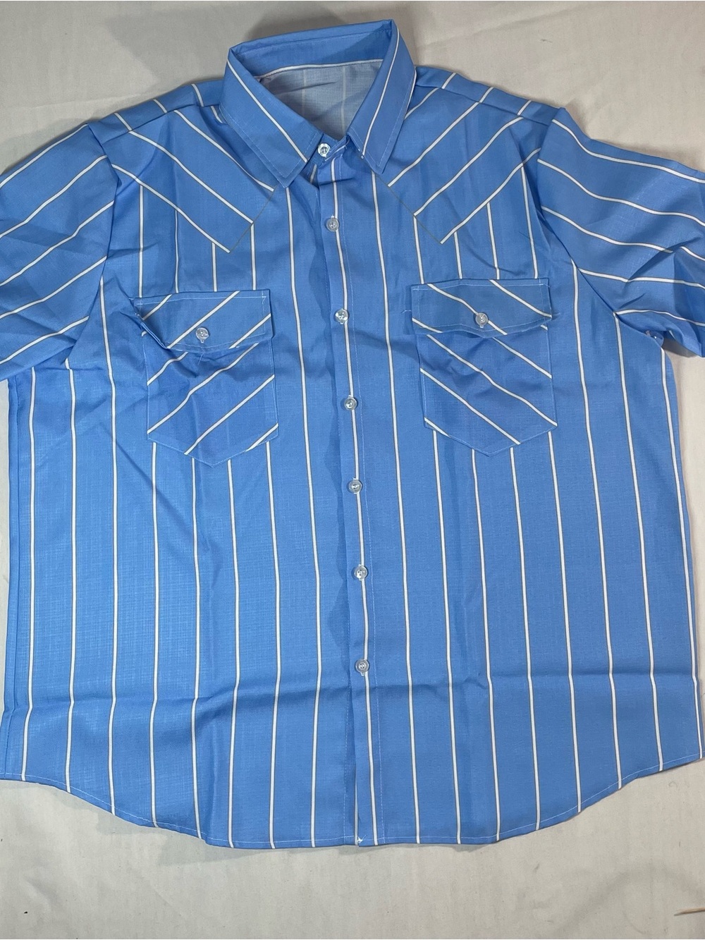 Casual Blue Vertical Stripe Button-Down Shirt